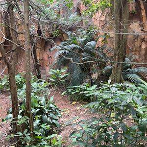 Meet your Posher, Kailyn